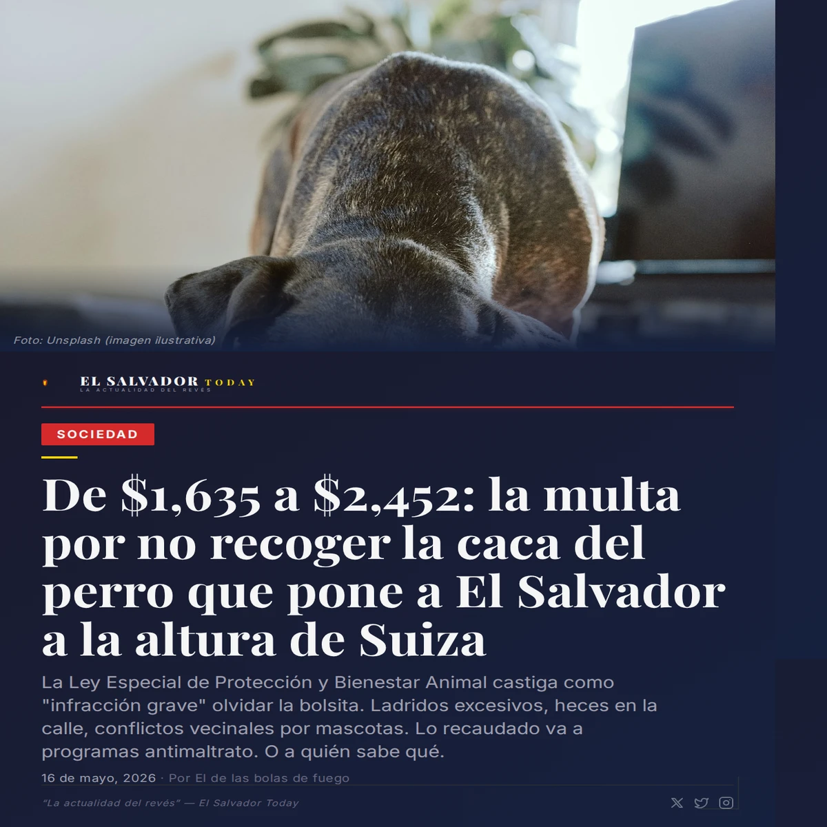 De $1,635 a $2,452: la multa por no recoger la cac