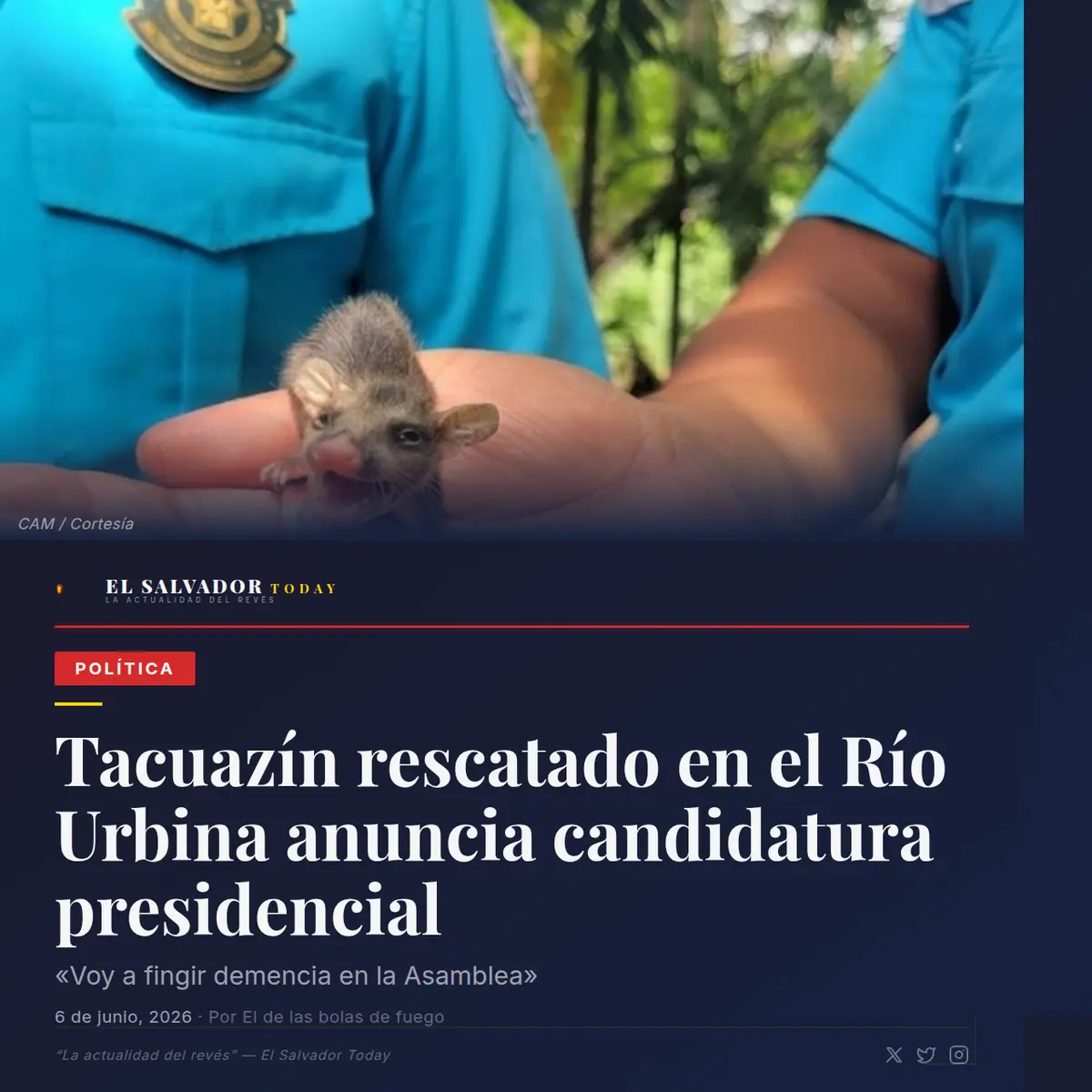 Tacuazín candidato presidencial